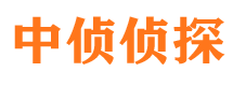 卢氏市调查公司